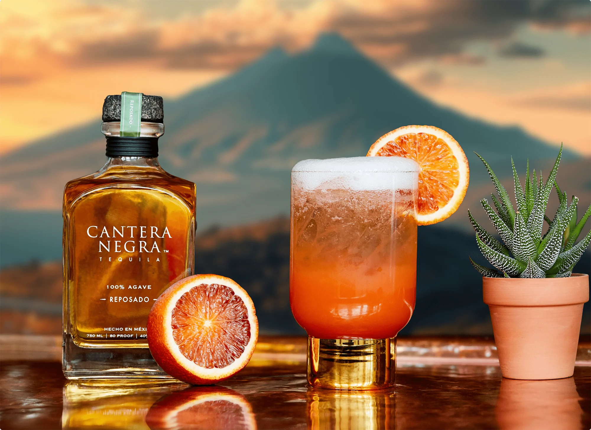 A beautifully lit bottle of Cantera Negra Reposado alongside a blood orange and a perfect Paloma cocktail.