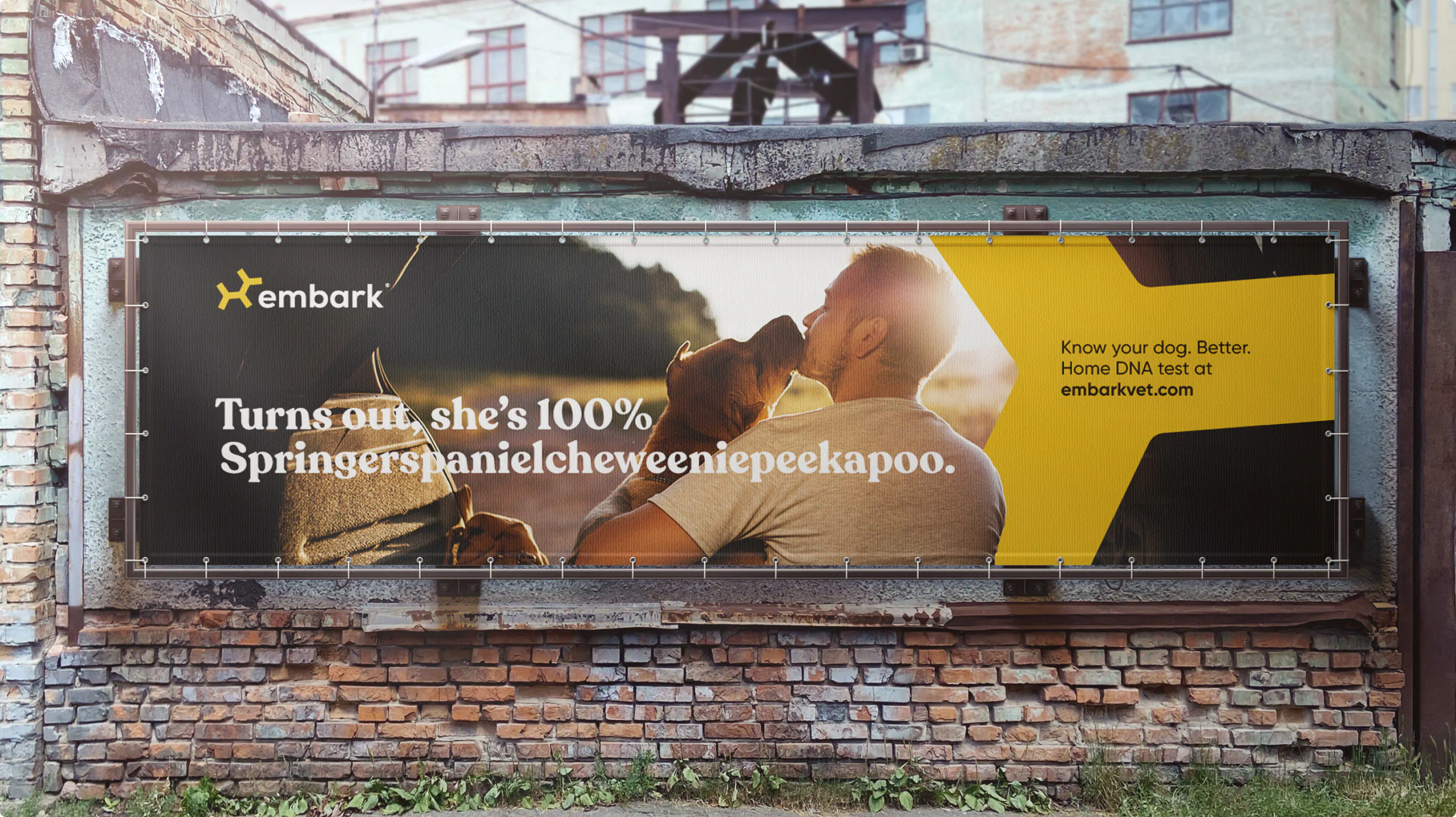 Campaign billboard for Embark dog DNA testing created by Colossus. An image of a man and his dog in the morning light. The headline reads: "Turns out, she's 100% springerspanielcheweeniepeekapoo."