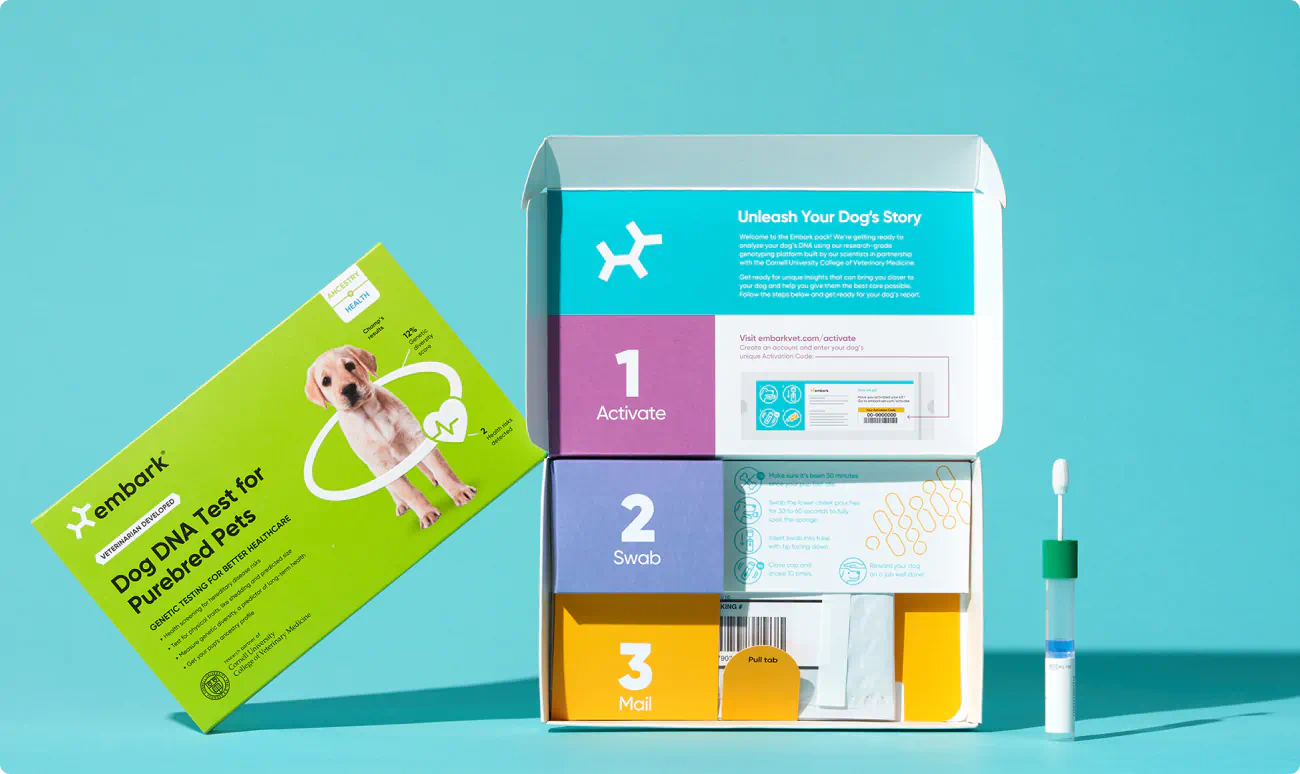 Stacked Dog DNA home testing kits.