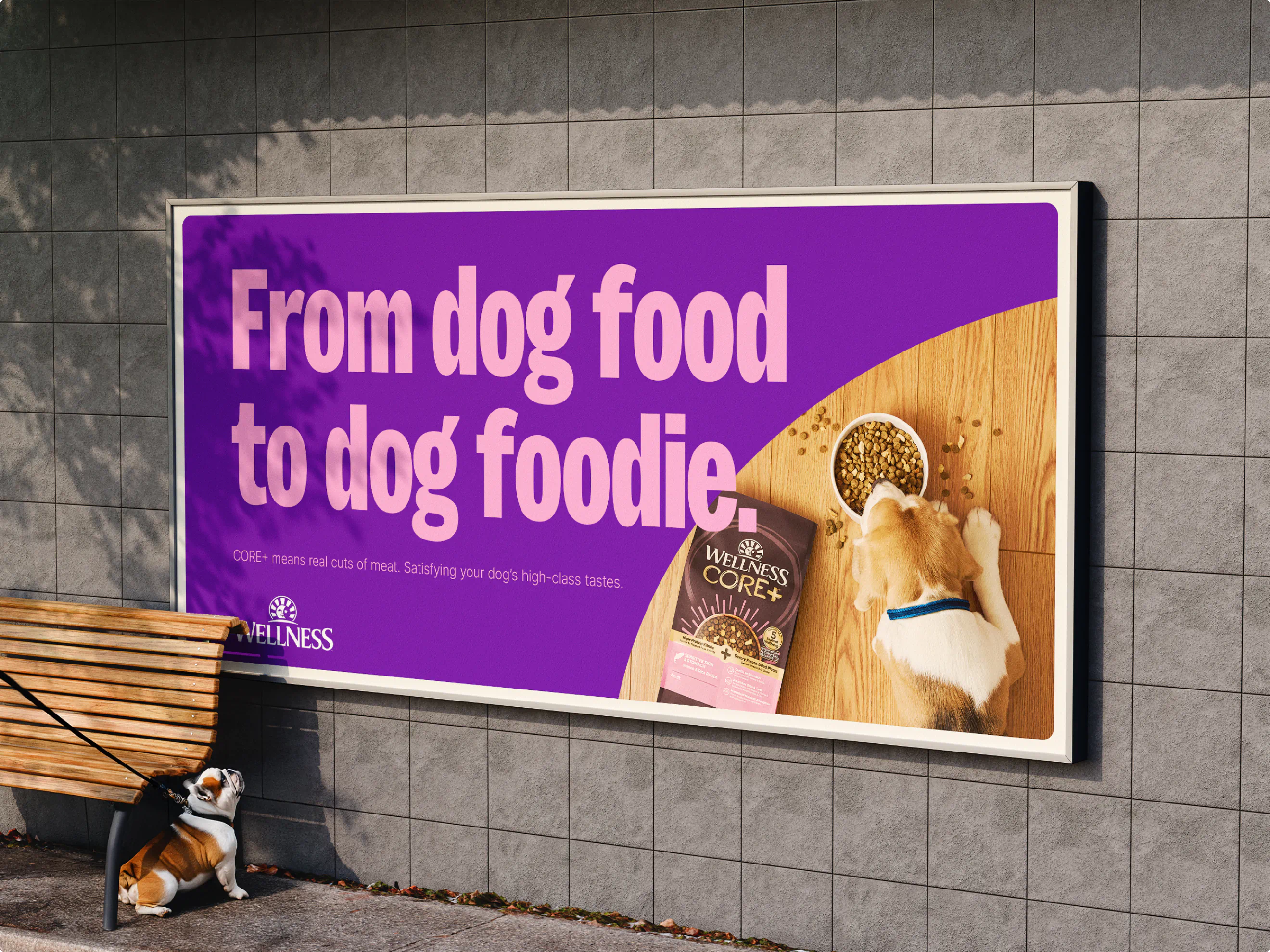 A small bulldog looks up at a billboard for Wellness Pet Company. The Billboard shows a beagle eating Wellness Core+ dog food with a headline that reads "from dog food to dog foodie."