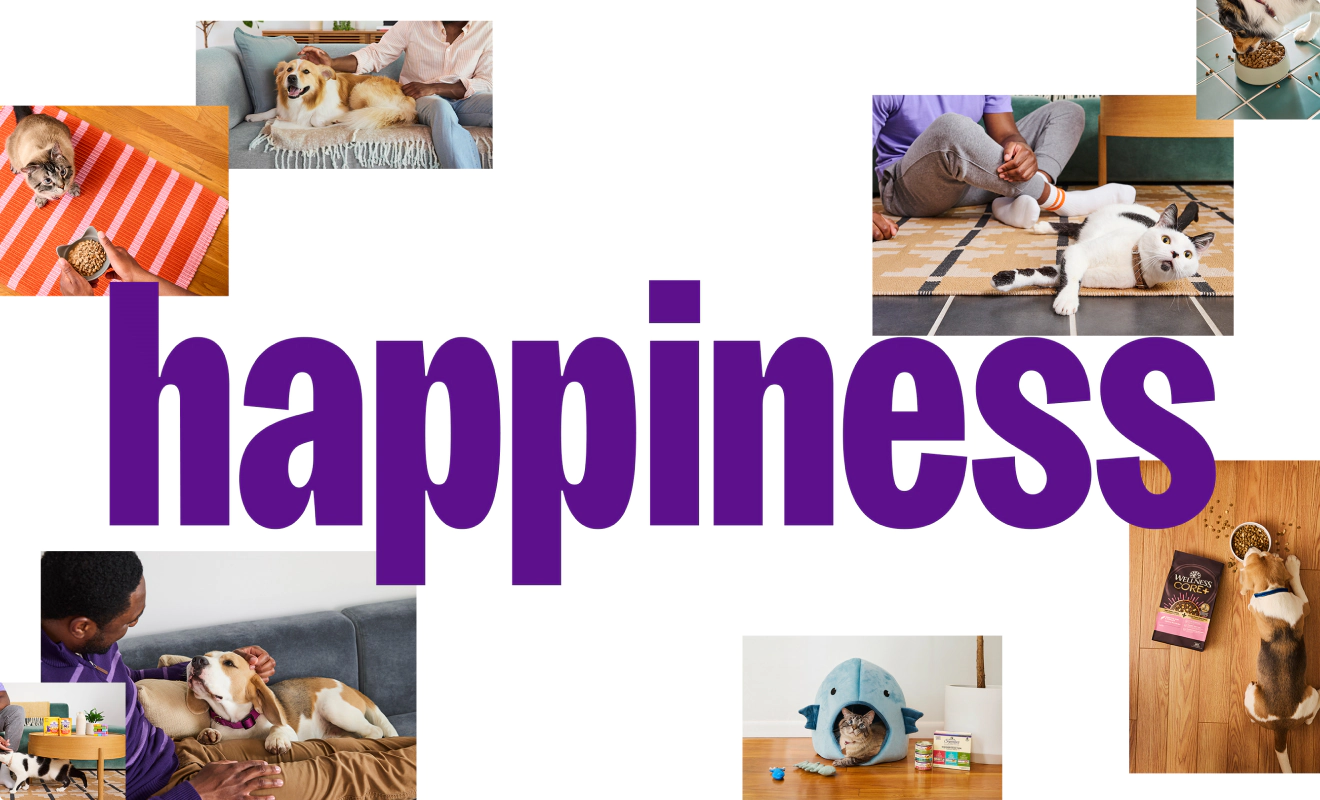 A collage of images from the new Wellness Pet Co brand identity, designed by Colossus Creative Co.