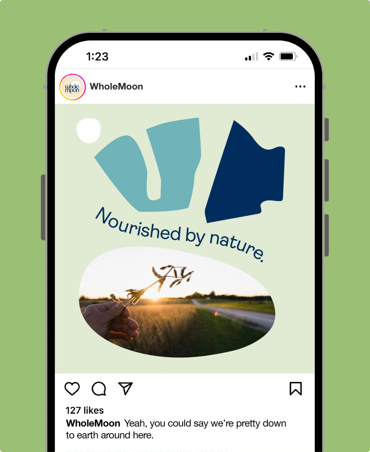 Social post for Whole Moon featuring illustrative and photographic elements and the headline "Nurtured by Nature."