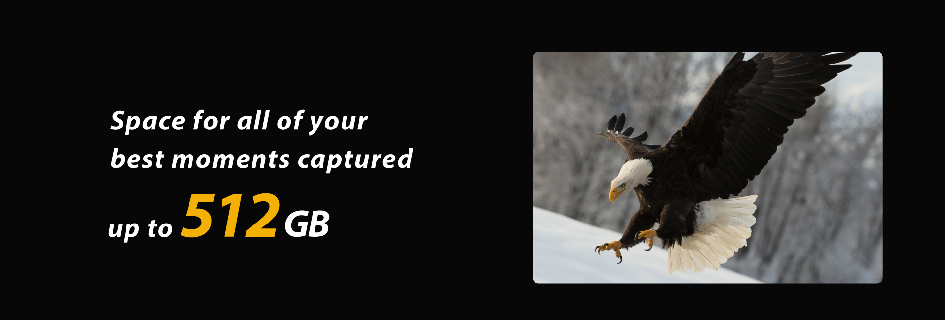 Space for all ofr your best moments captured | Patriot V90