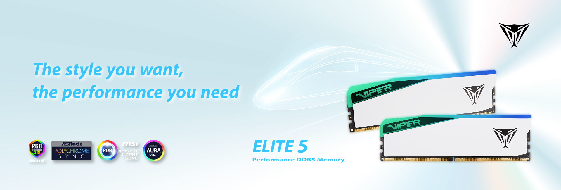 Viper Elite 5 DDR5 Memory - The style you want, the performance you need | Viper Gaming