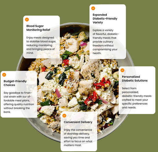 Bowl of a healthy meal with chicken, rice, and vegetables surrounded by text boxes describing benefits like blood sugar relief, diabetic-friendly variety, budget-friendly choices, personalized diabetic solutions, and convenient delivery.