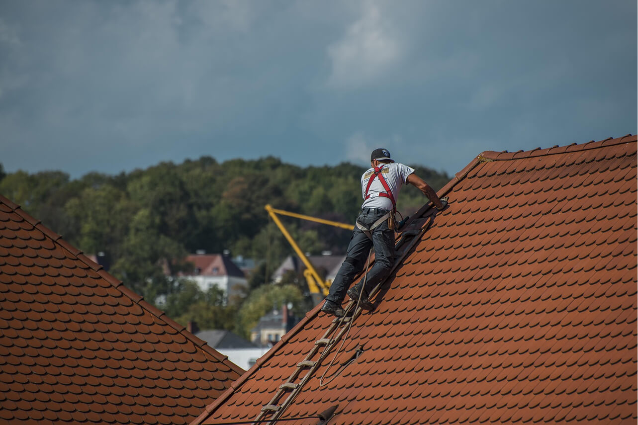 A specialist performs technical maintenance and inspects the roof's condition.