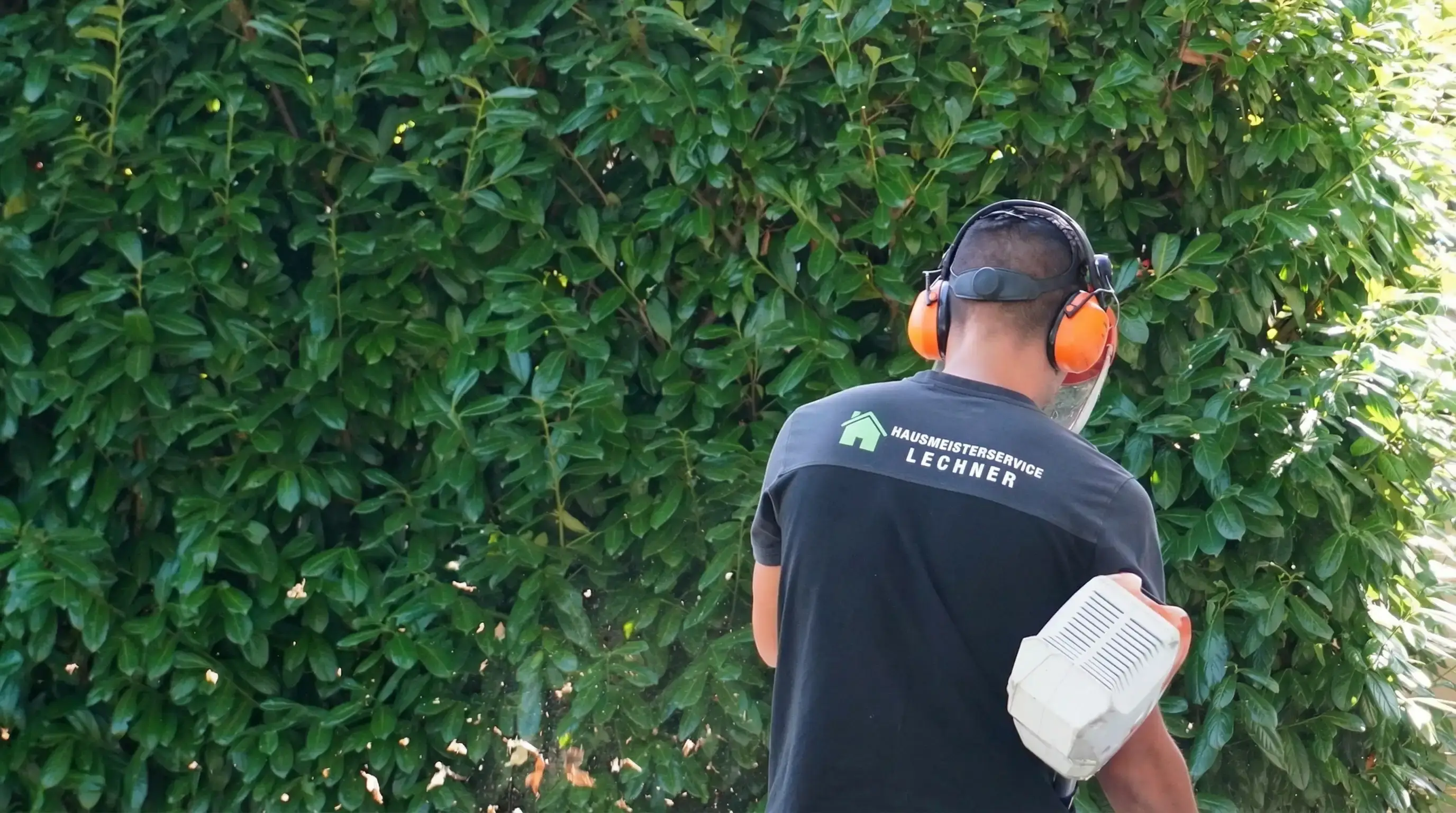 Mann mit Gehörschutz und Gesichtsschutz trimmt eine Hecke mit einem Heckenschneider.