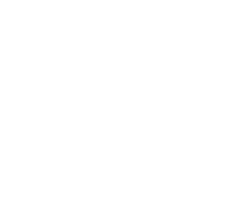 Anthem Award