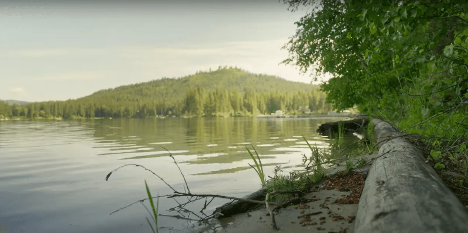 a picture of a serene lake