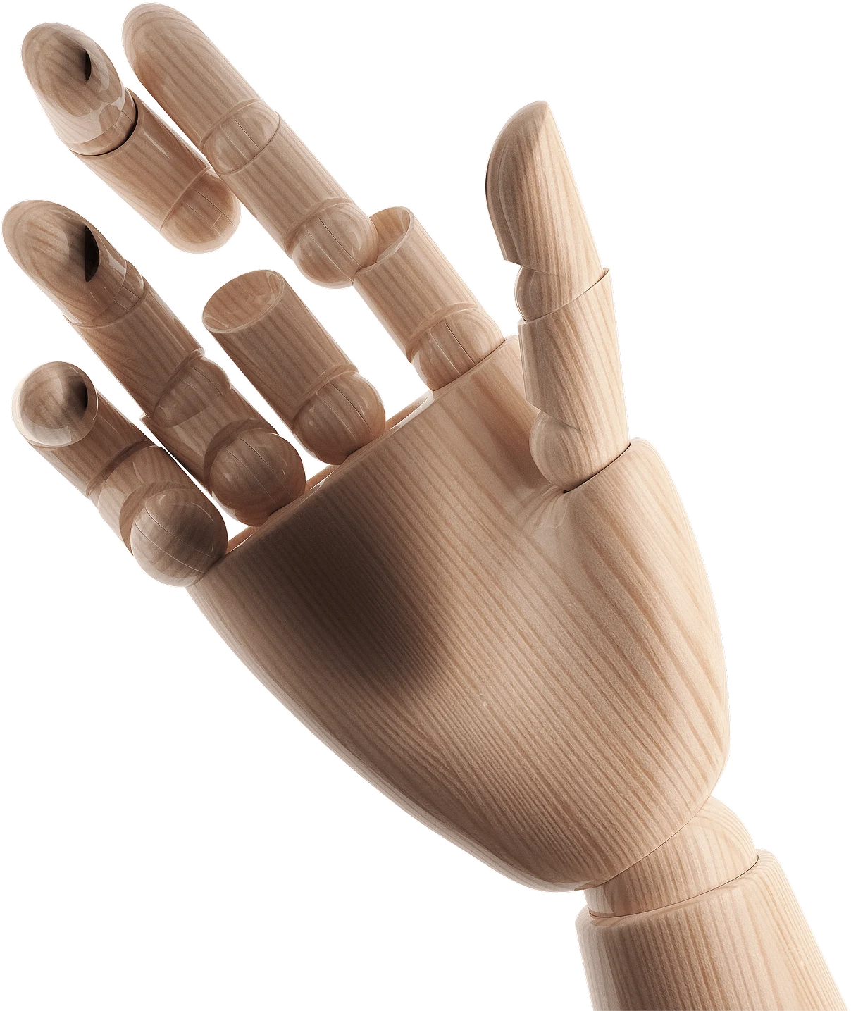Hand Image