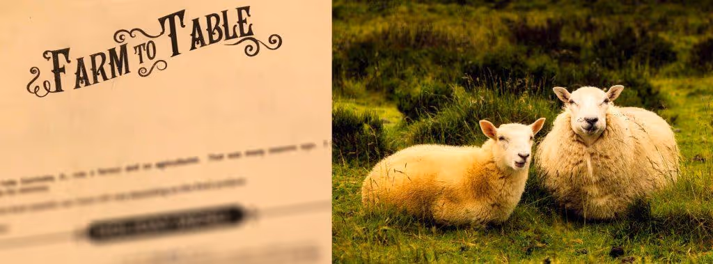 Farm to Table Menu _ roommaster booking engine