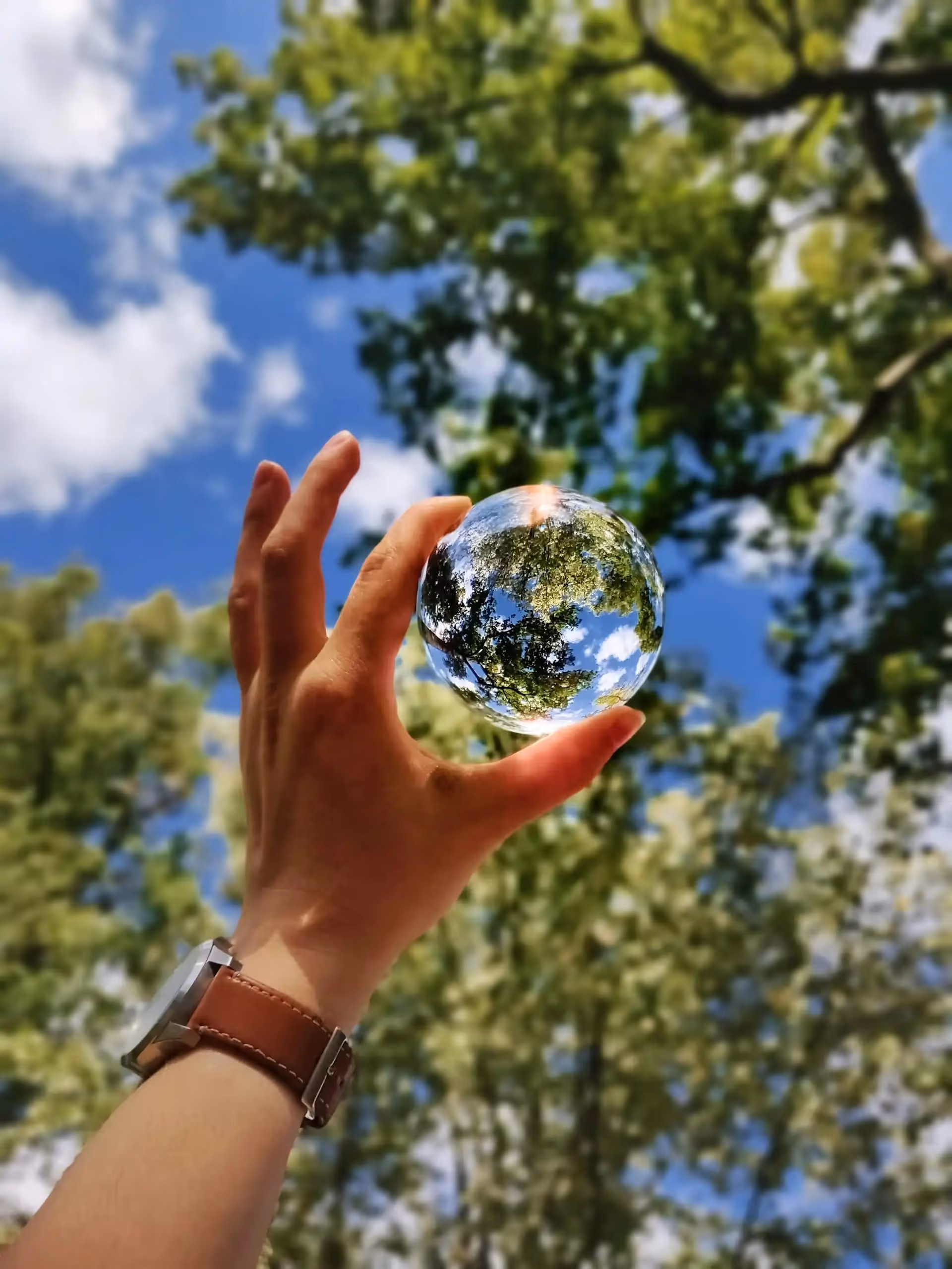 How to make your hotel eco-friendly in 2020 | hotel pms