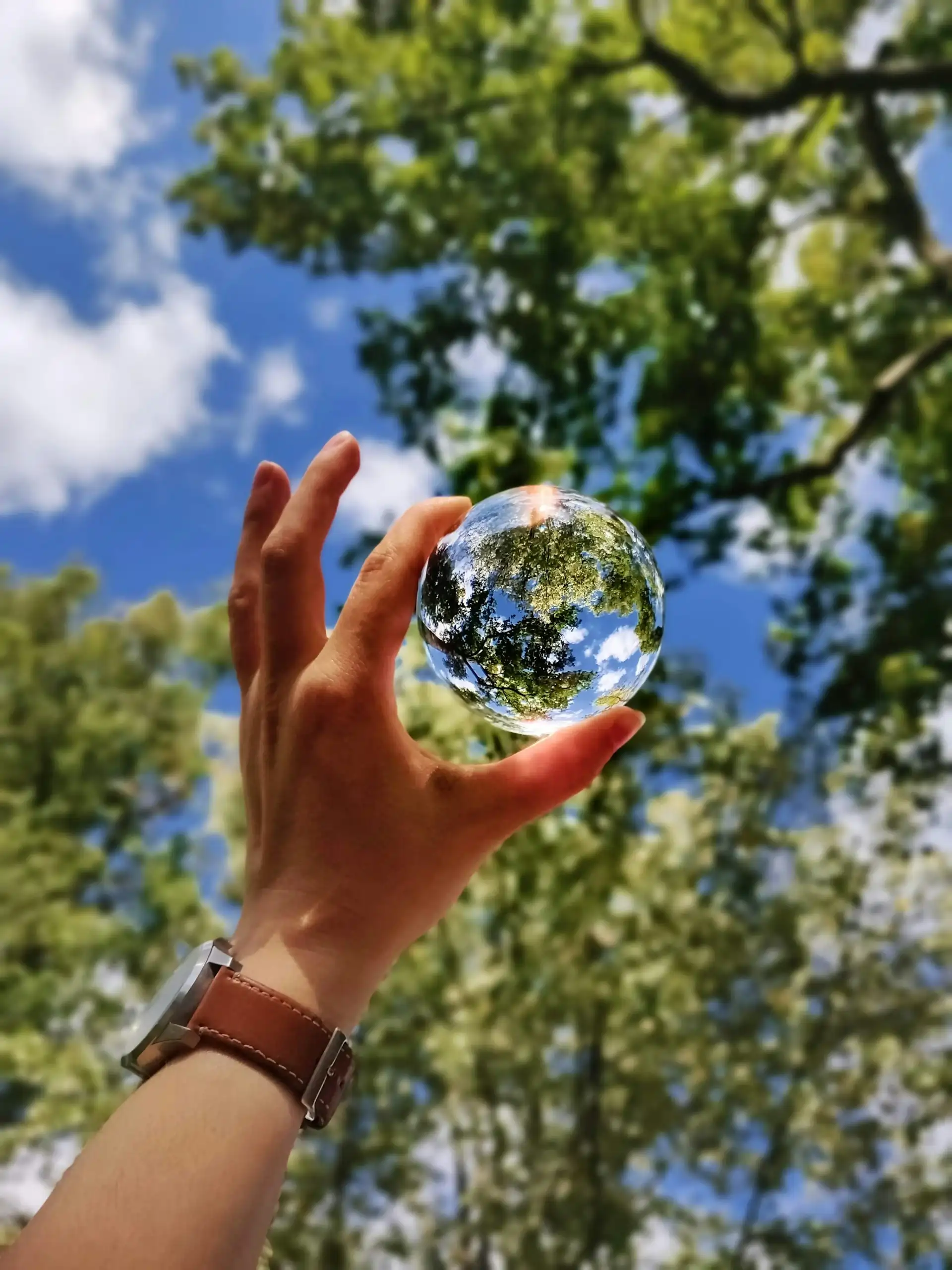 How to make your hotel eco-friendly in 2020 | hotel pms