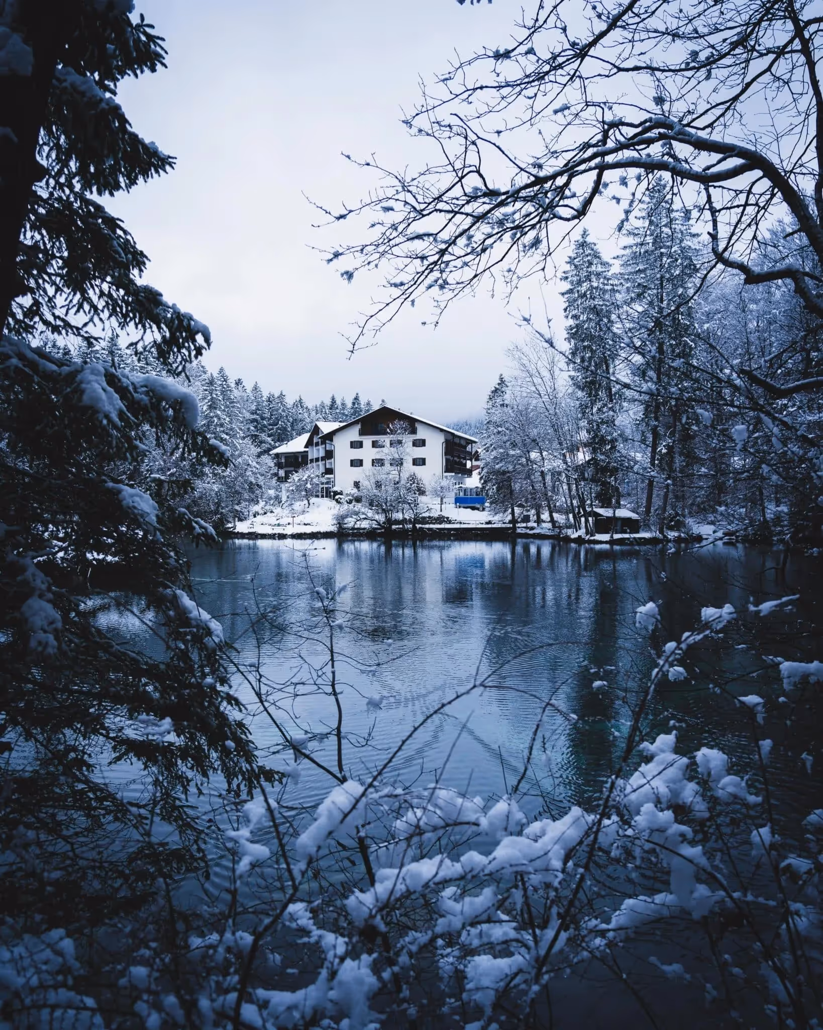 holiday-themed-promotions