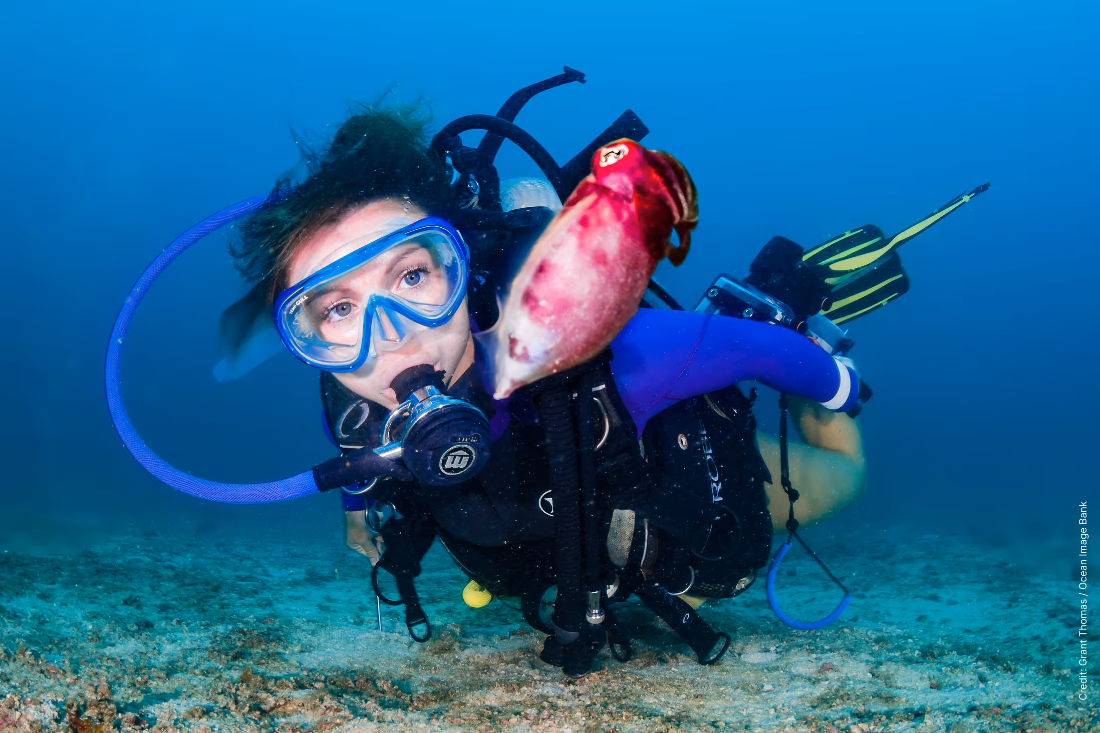 diver UN
