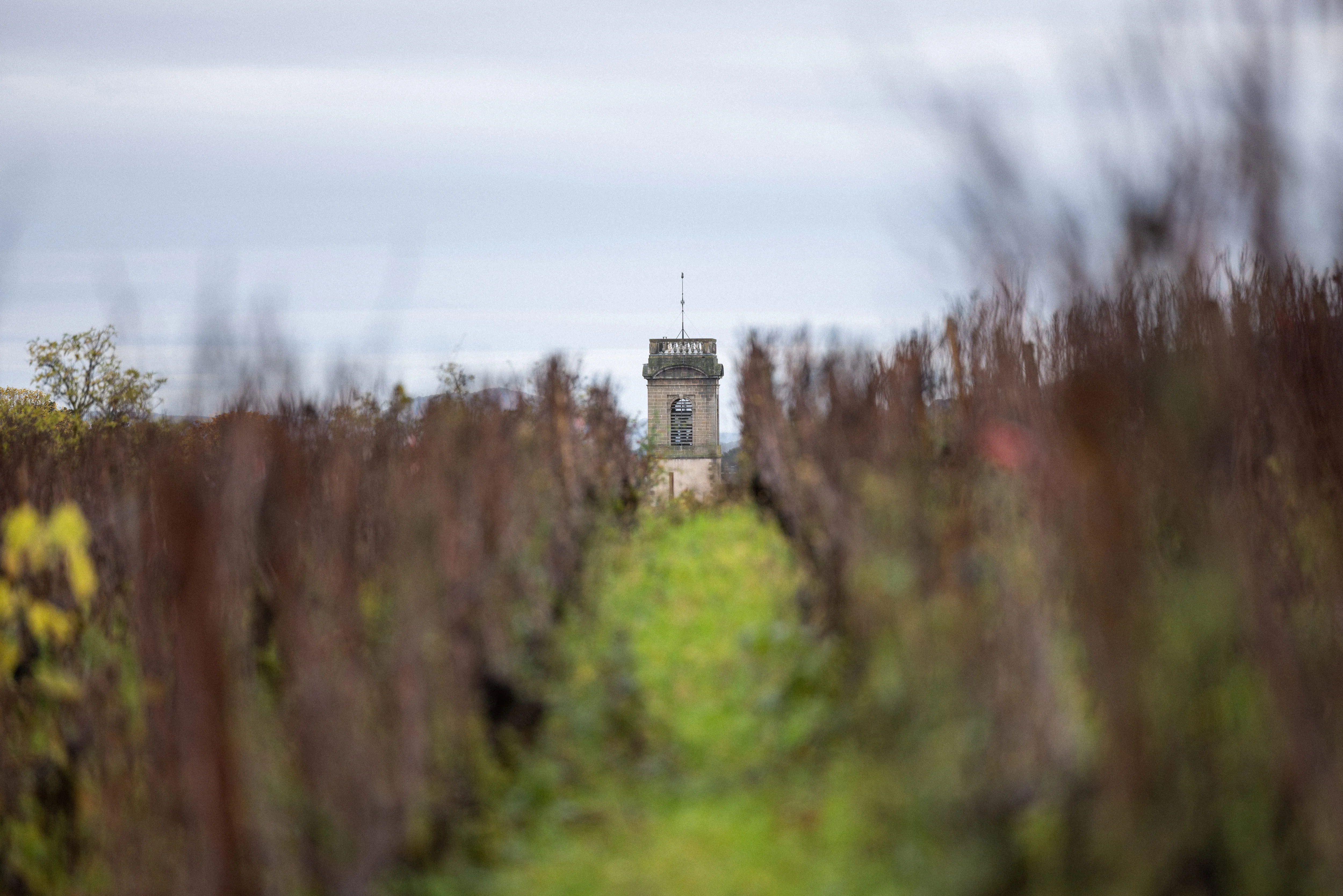 Domaine Lejeune pendant l'automne 2023