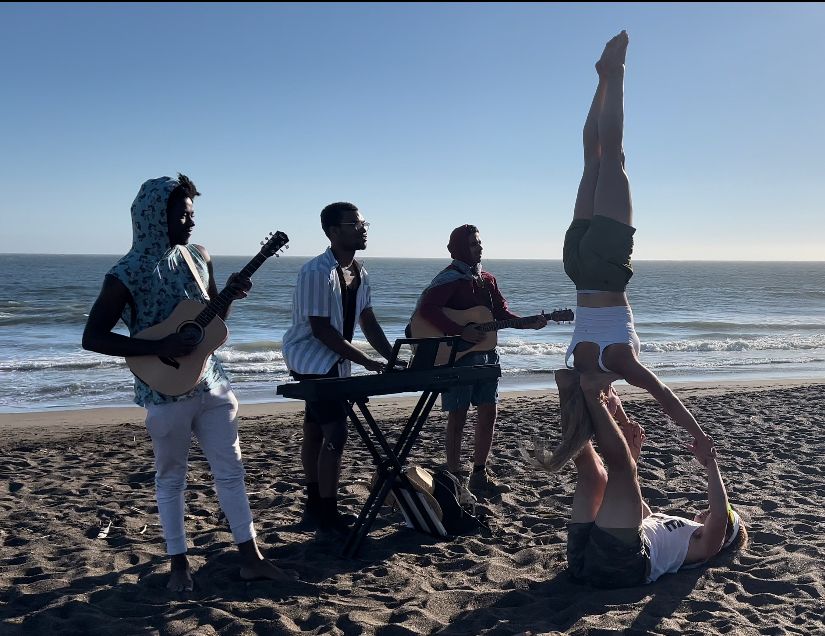 image of a concert crowd