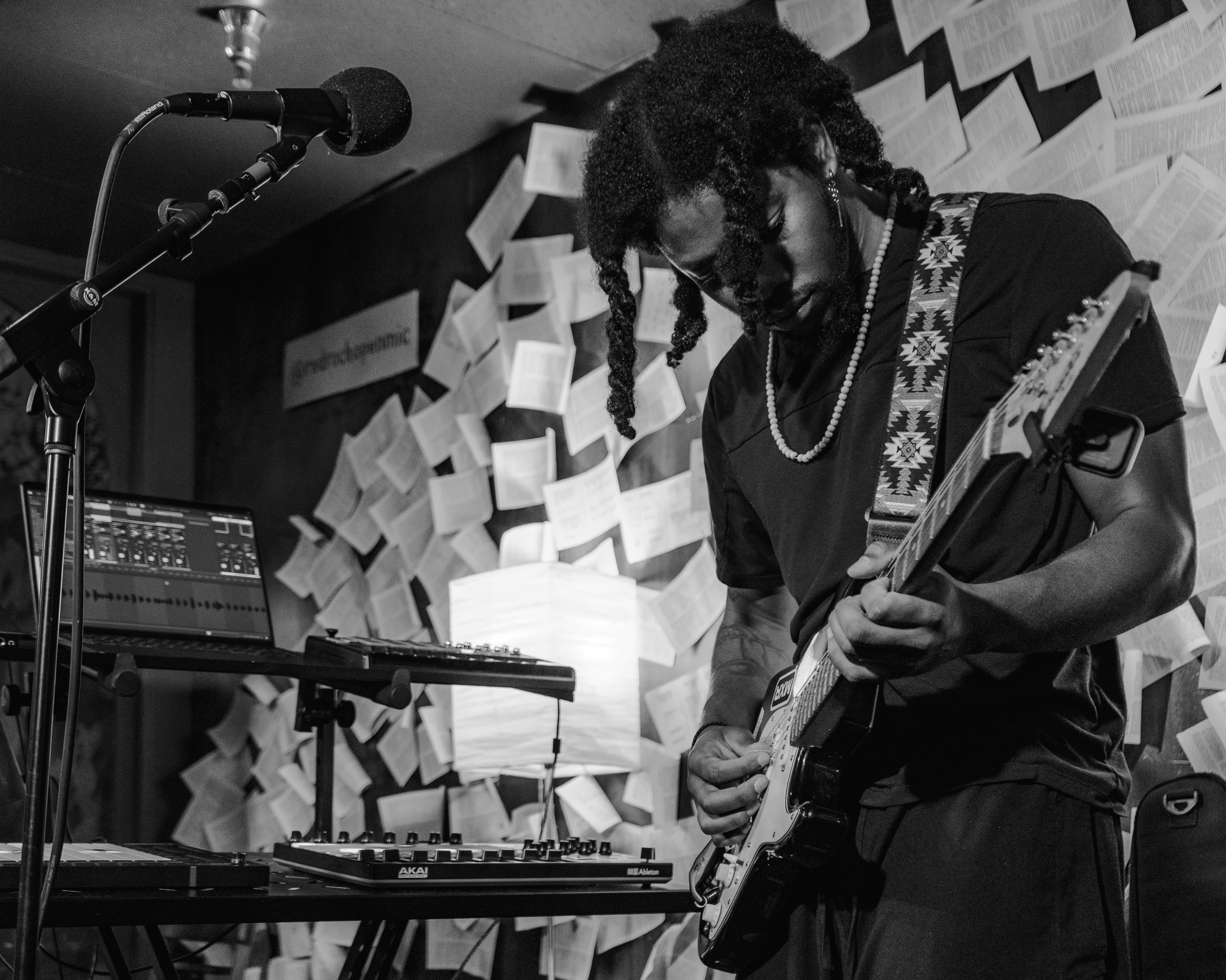 image of a live performance at the park (amusement park)