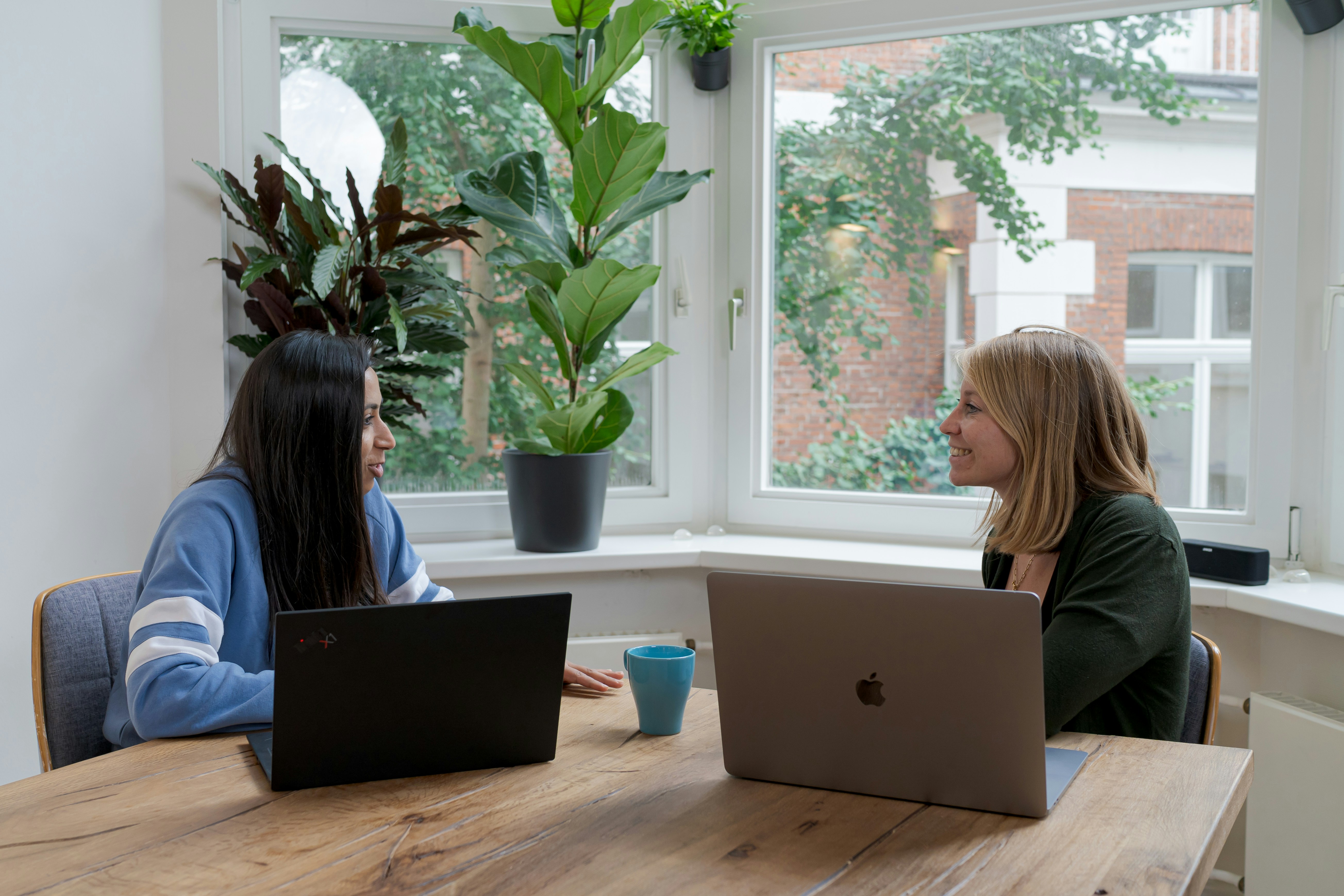 Two women sit across from each other at a wooden table, smiling and talking with laptops open in a bright office space filled with large windows and green plants.