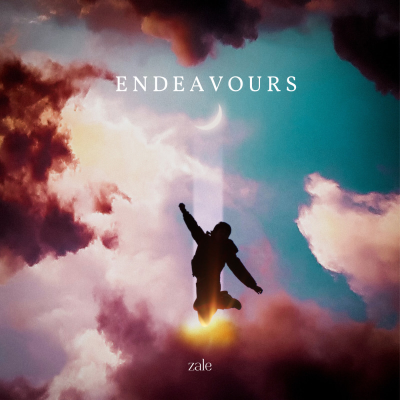 Endeavours artwork by Zale