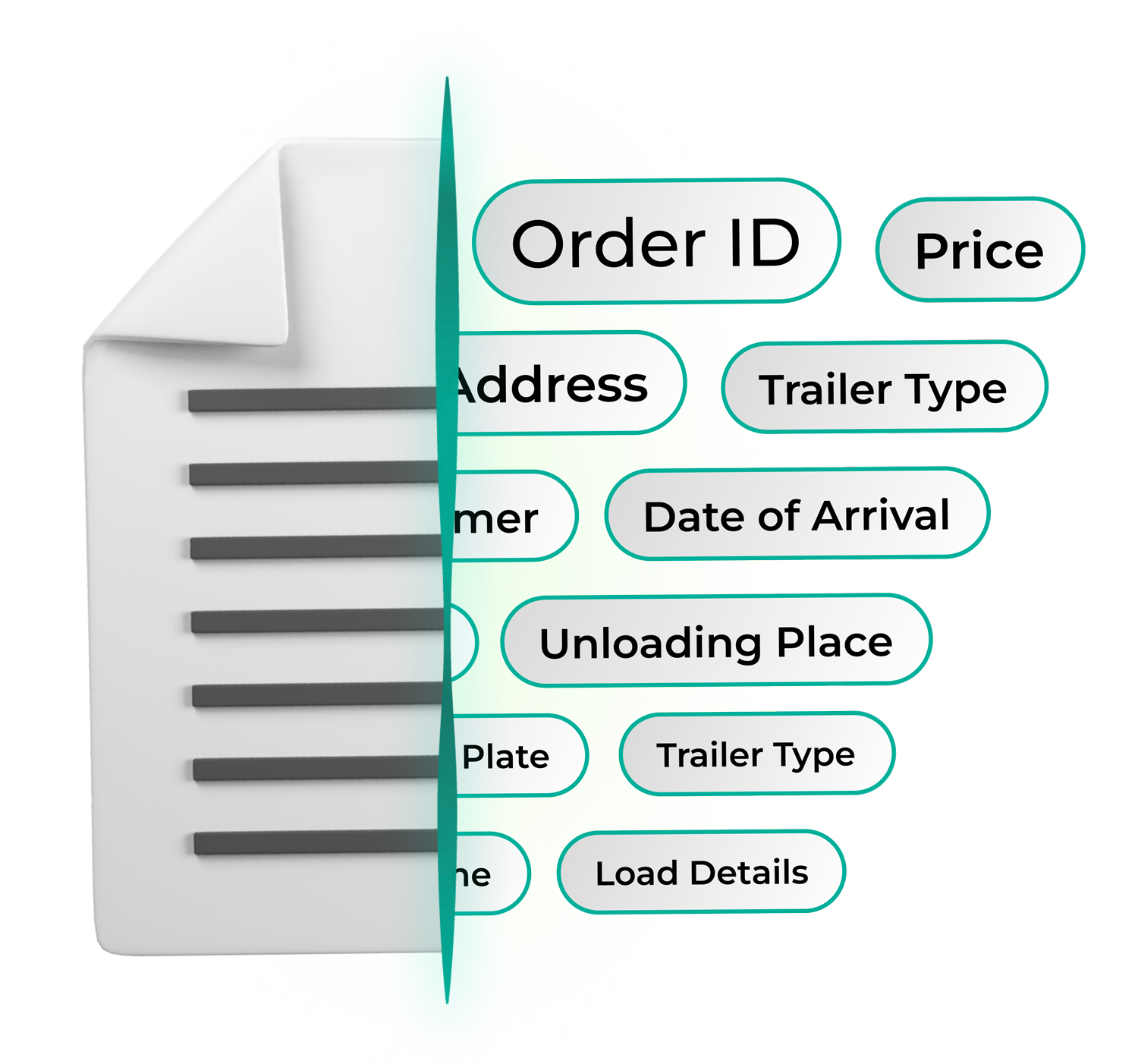 3D illustration of a digital document transforming into structured data fields such as Order ID, Price, and Unloading Place. Represents Egala by Boekestijn’s use of Artificial Intelligence to automate logistics data processing, enhance supply chain efficiency, and drive smarter, more sustainable operations