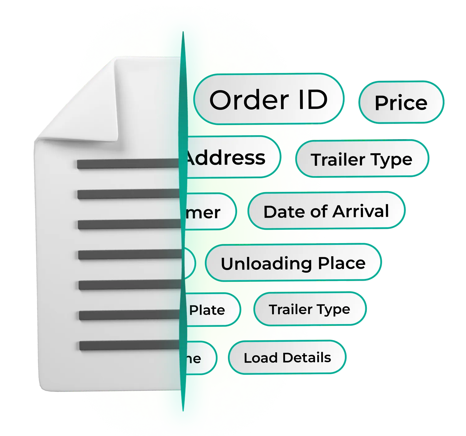 3D illustration of a digital document transforming into structured data fields such as Order ID, Price, and Unloading Place. Represents Egala by Boekestijn’s use of Artificial Intelligence to automate logistics data processing, enhance supply chain efficiency, and drive smarter, more sustainable operations