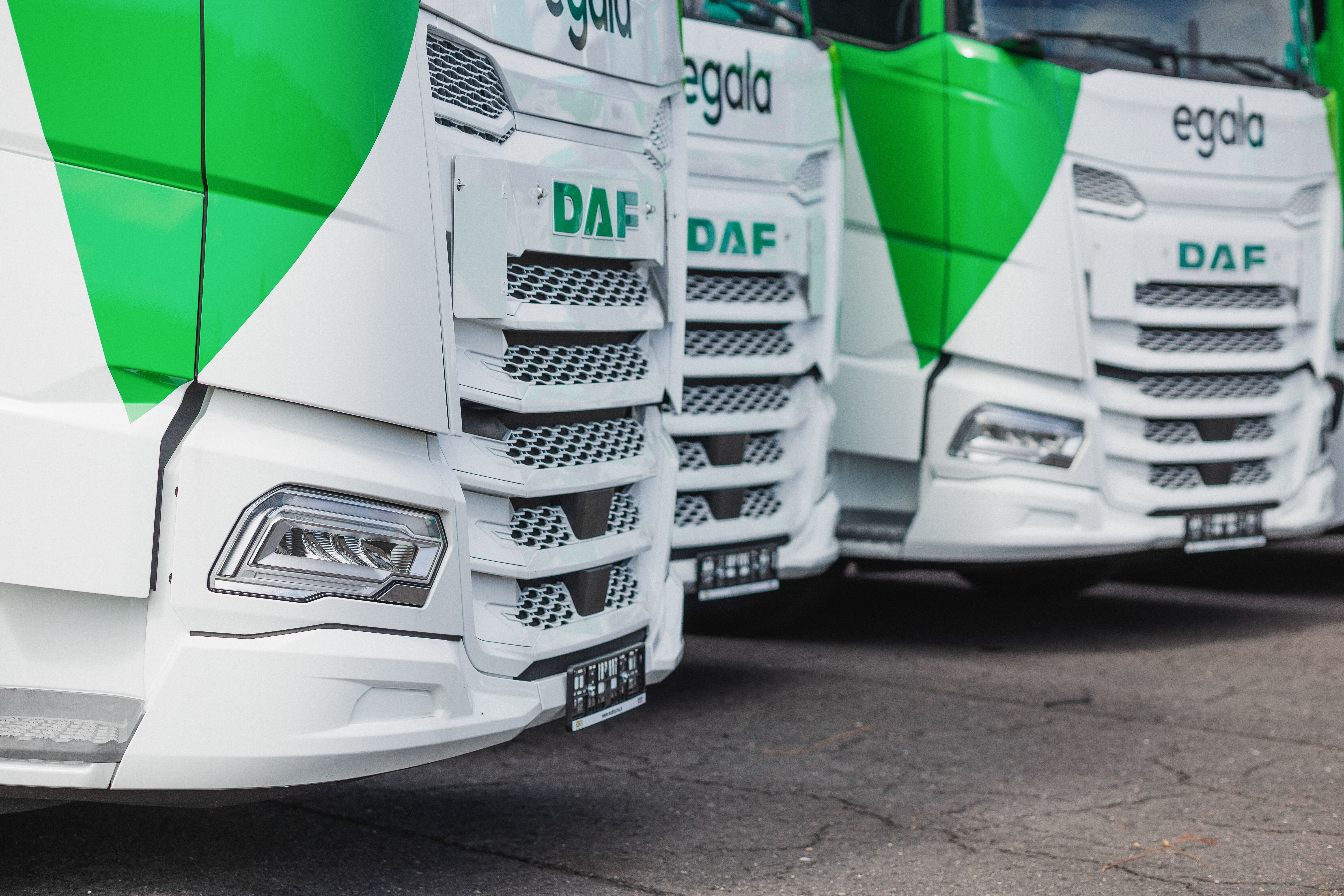 Close-up view of Egala by Boekestijn DAF trucks with green and white design, representing modern, sustainable, and high-performance logistics fleet