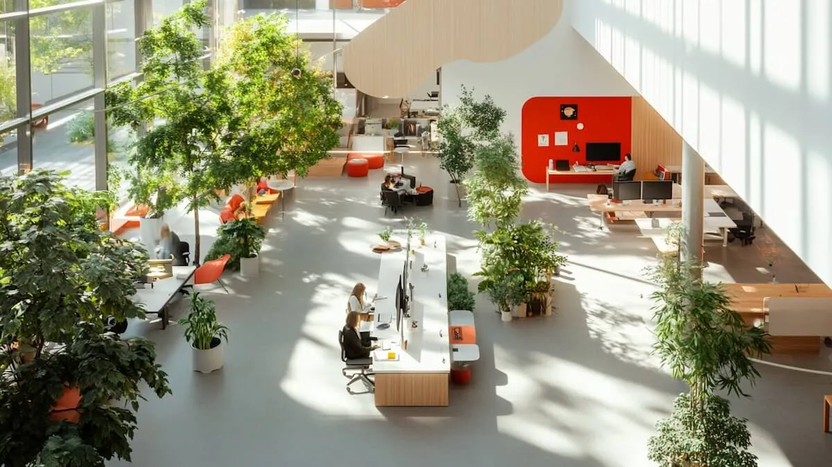 Modern Open-Plan Office with Natural Elements 