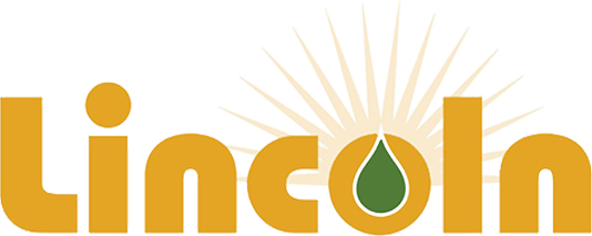 Lincoln Energy Solutions