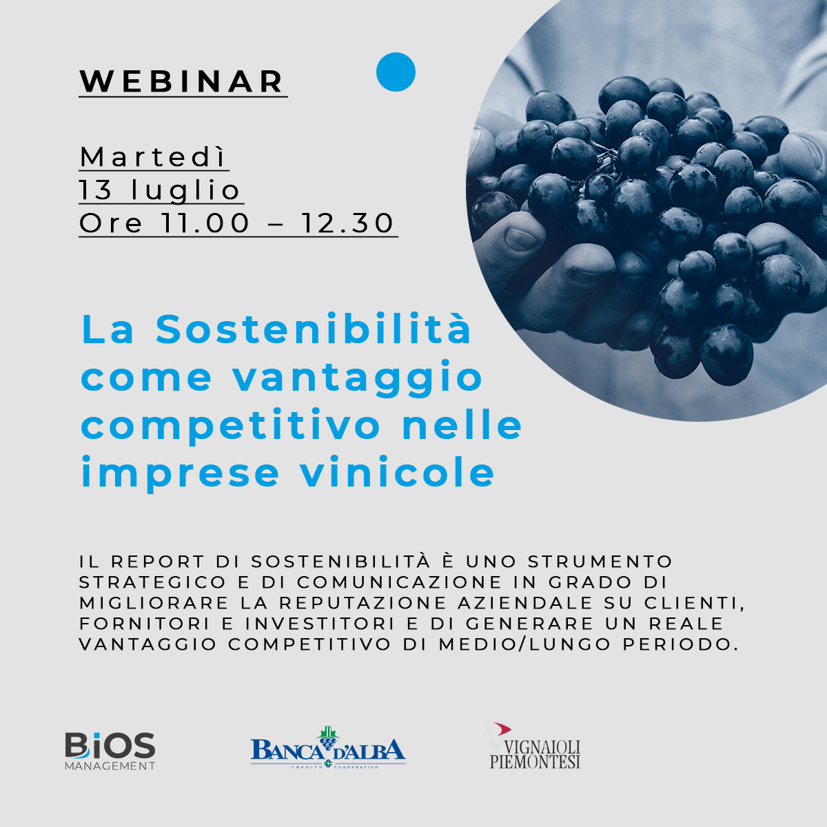 WEBINAR | La Sostenibilità come vantaggio competitivo nelle imprese vinicole