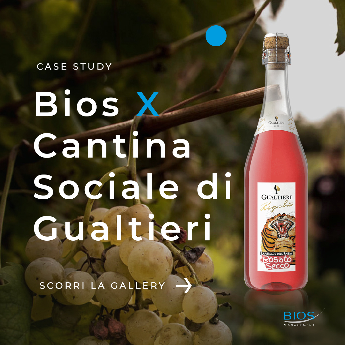 Costruire una propria identità nel vino