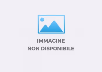 WEBINAR - LA BALANCED SCORECARD