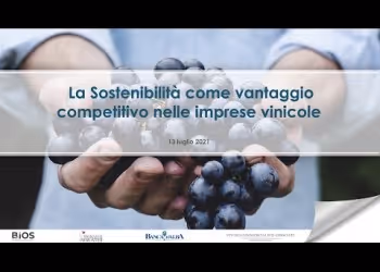 La Sostenibilità come vantaggio competitivo nelle imprese vinicole