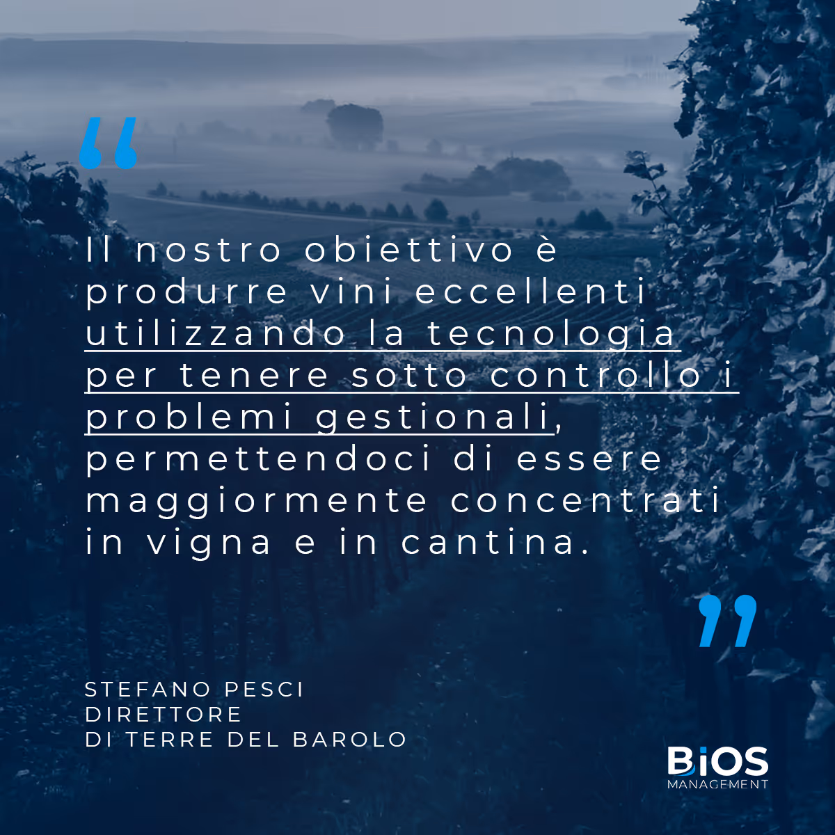 Una cantina 4.0 nel cuore delle Langhe: Cantina Terre del Barolo