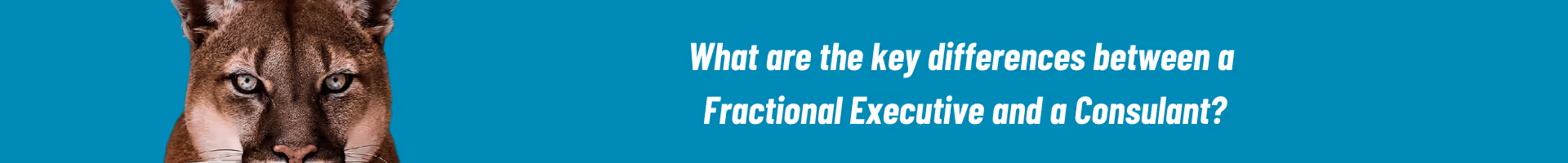 What are the key differences between a Fractional Executive and a Consultant? Article by the Fractional Leap - a program that helps executives plan and transition into the fractional space through The Certified Fractional Executive Program.