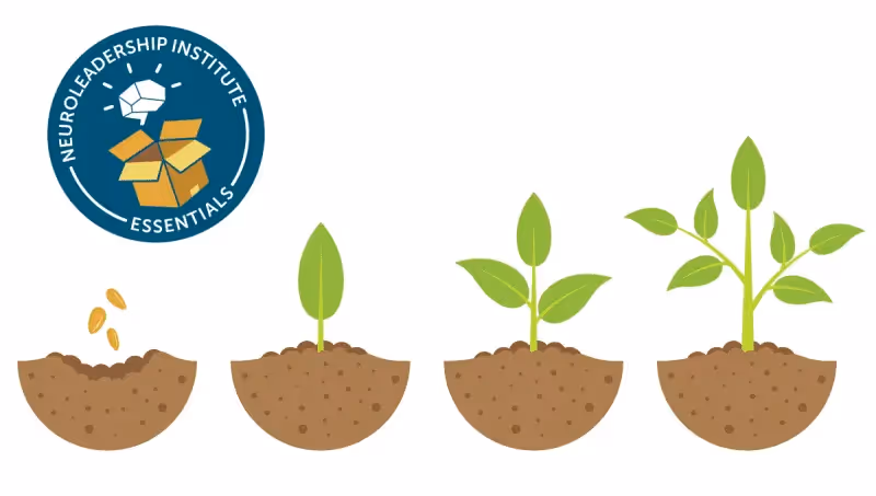 The Essentials: Growth Mindset