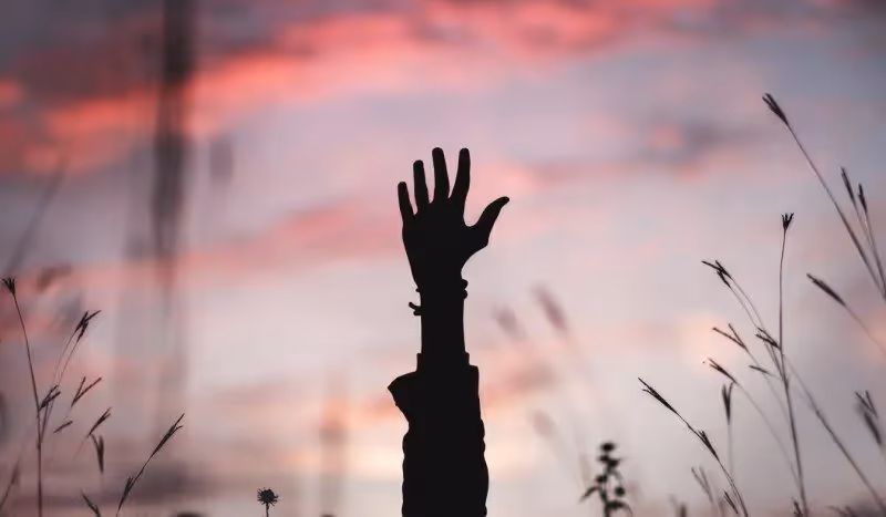 The Data Is In: Your Organization Should Be Asking for Feedback