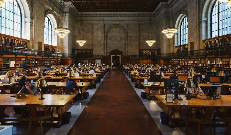 The Brain-Friendly Way to Build Allyship on College Campuses