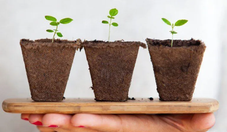 What Our New Pop-Up Survey Reveals About Growth Mindset