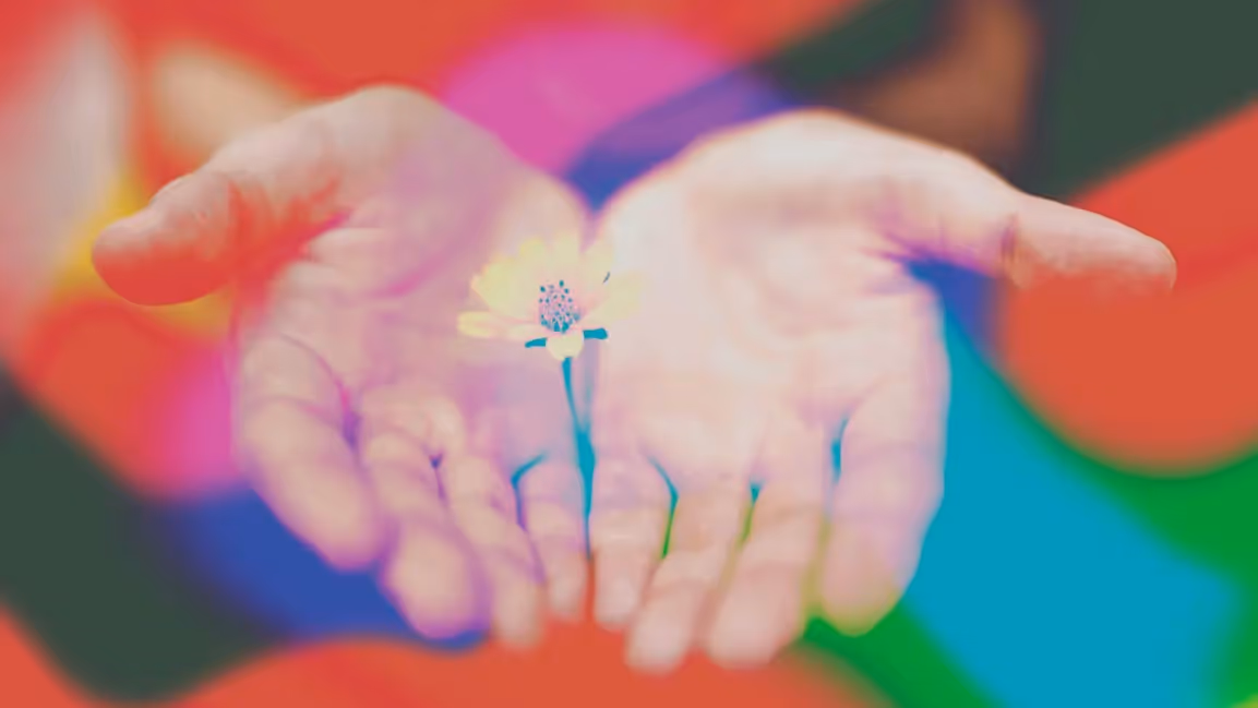 outline of heads in various colors and facing different directions