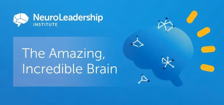 The Amazing, Incredible Brain