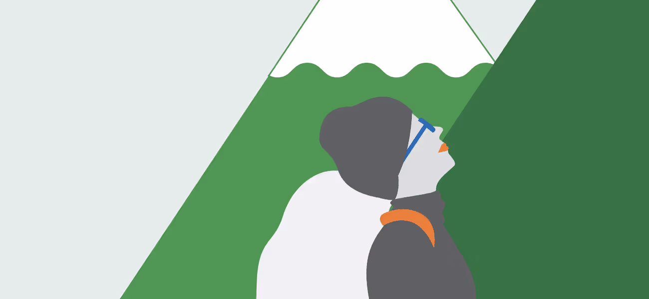 Major American Telecom Company