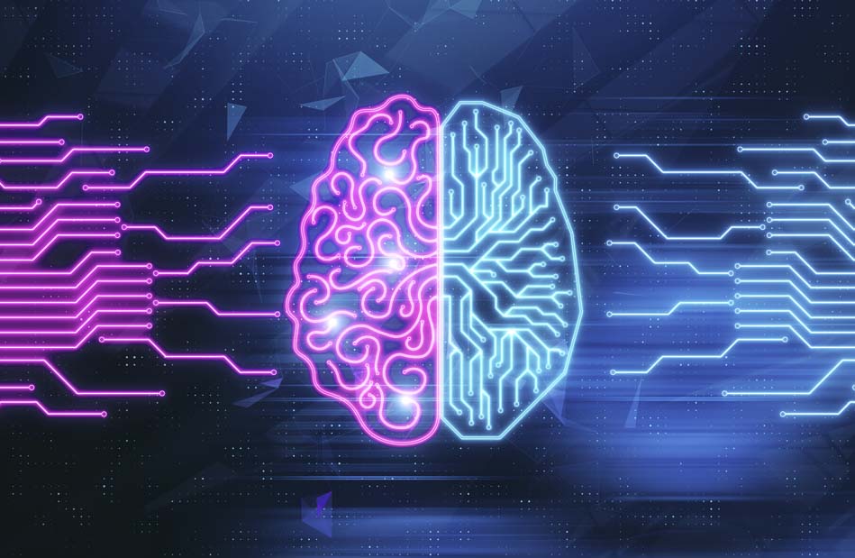 Why Learning About the Brain May Be the Best Path To Healthy AI Adoption