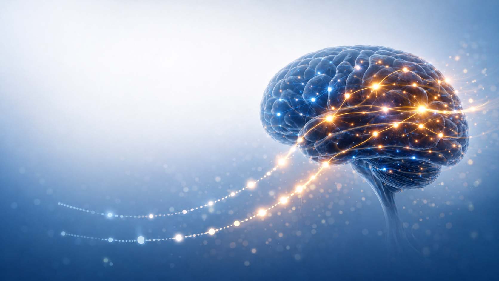 AI Essentials: How Brain Science Helps Us Get the Most Out of Artificial Intelligence