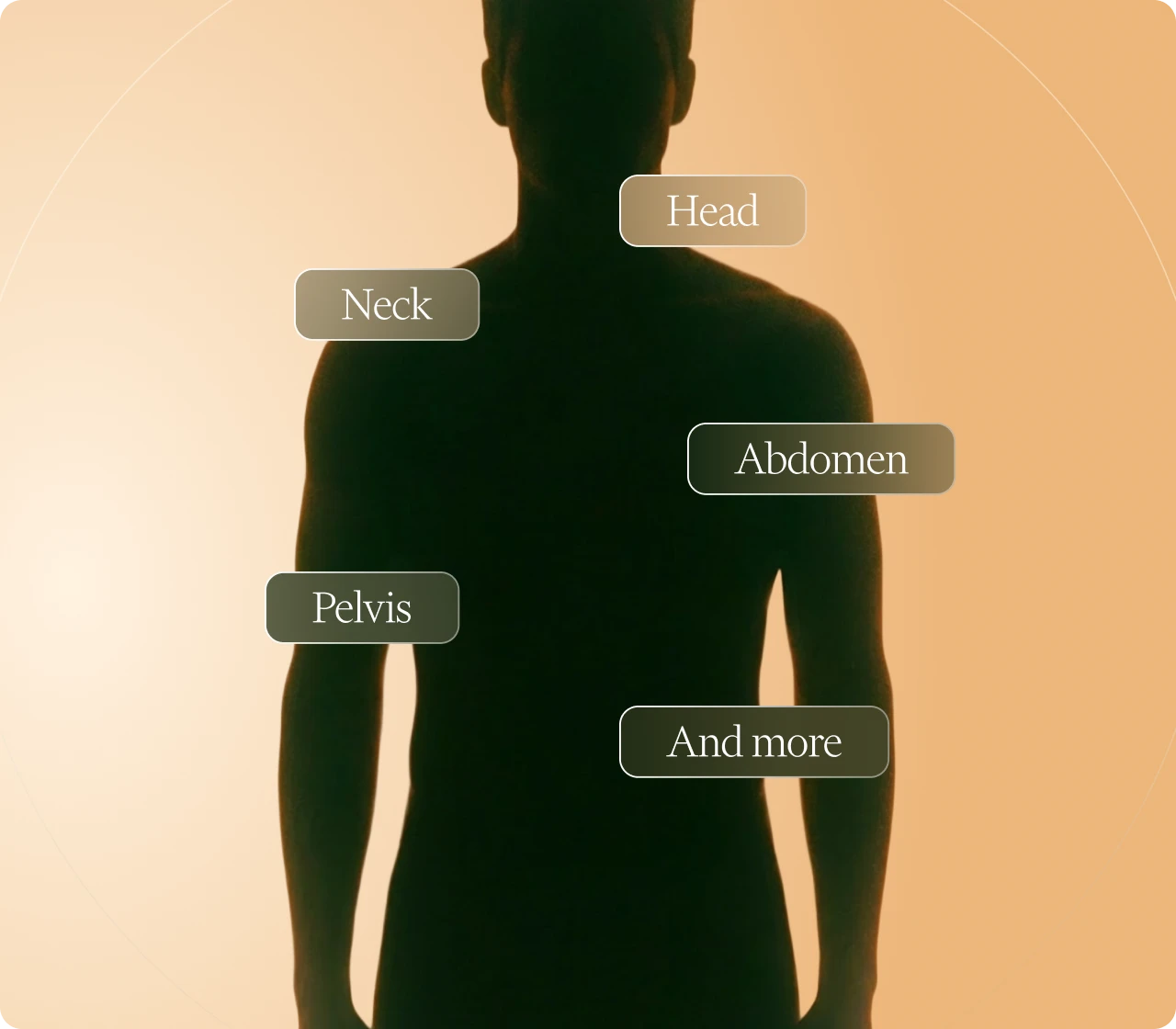 Full-body scan illustration