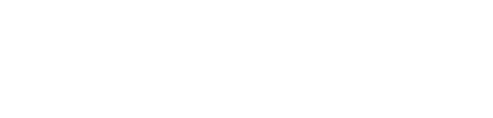 Weltraum.de Logo weiß