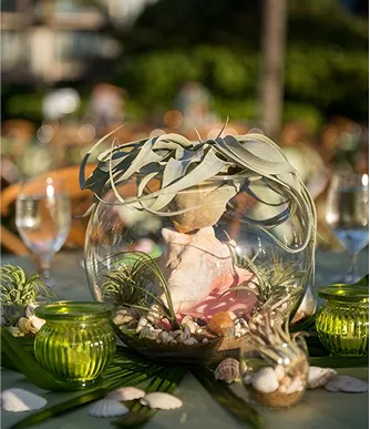Close-up of trade show centerpiece featuring seashells and air plants, styled by Paradym Events
