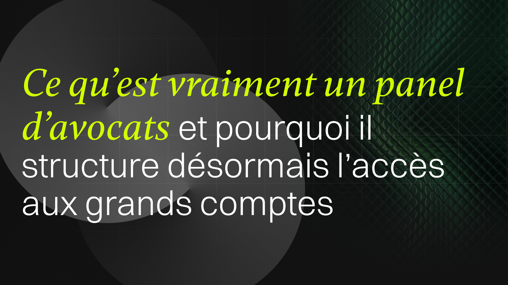 Miniature panel d'avocats