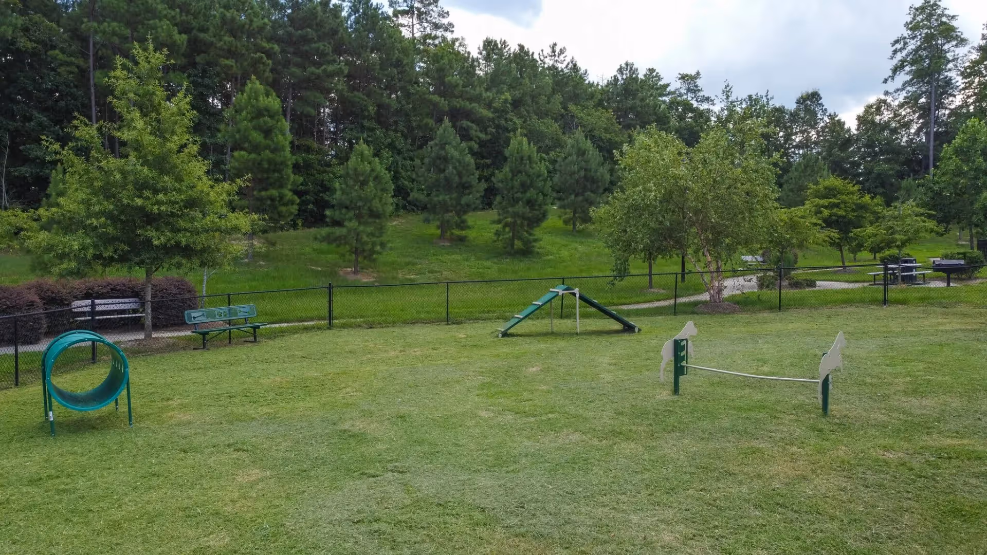 dog park