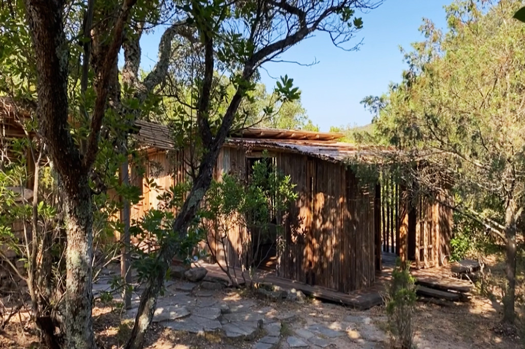 Rustic wooden cabin surrounded by trees with stone pathway leading to the entrance under clear blue sky.